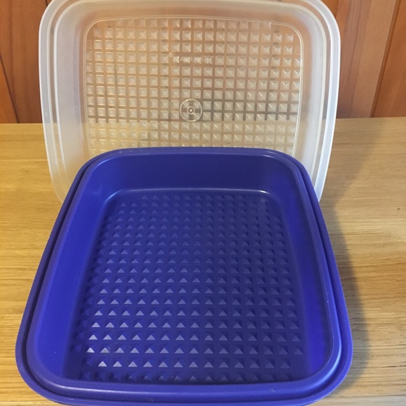 Vintage Tupperware Meat Marinader/keeper Container